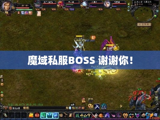 魔域私服BOSS 谢谢你！