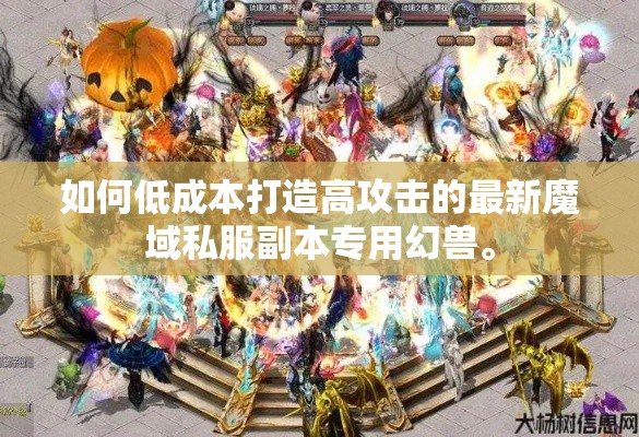 如何低成本打造高攻击的最新魔域私服副本专用幻兽。