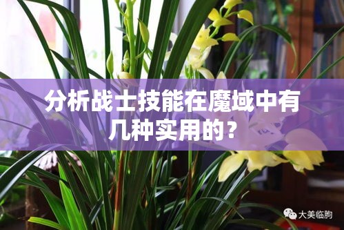 分析战士技能在魔域中有几种实用的？