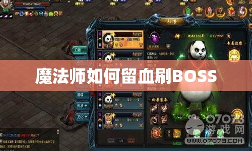 魔法师如何留血刷BOSS