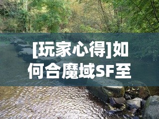 [玩家心得]如何合魔域SF至尊幻兽