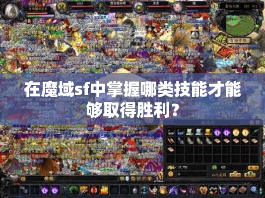 在魔域sf中掌握哪类技能才能够取得胜利？