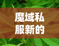 魔域私服新的法师装备并不是想的那么完美