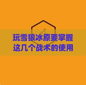 玩雪狼冰原要掌握这几个战术的使用