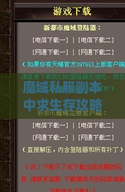 魔域私服副本中求生存攻略